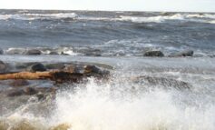 Riga Wind Warning: Gusts to 20 m/s Friday Night, Park Away From Trees