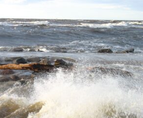 Riga Wind Warning: Gusts to 20 m/s Friday Night, Park Away From Trees